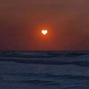 珍之儿美照库最新版本更新内容
