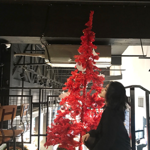 珍之儿美照库最新版本更新内容
