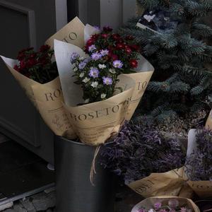 珍之儿美照库最新版本更新内容
