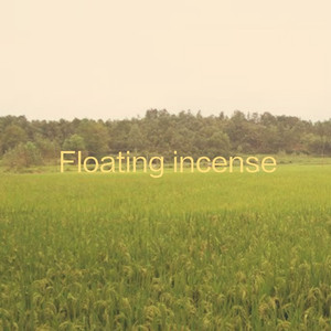 珍之儿美照库最新版本更新内容
